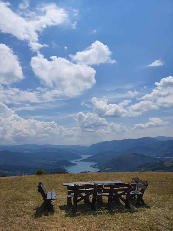 Vila Nemir Zavojsko Jezero 皮罗特 外观 照片