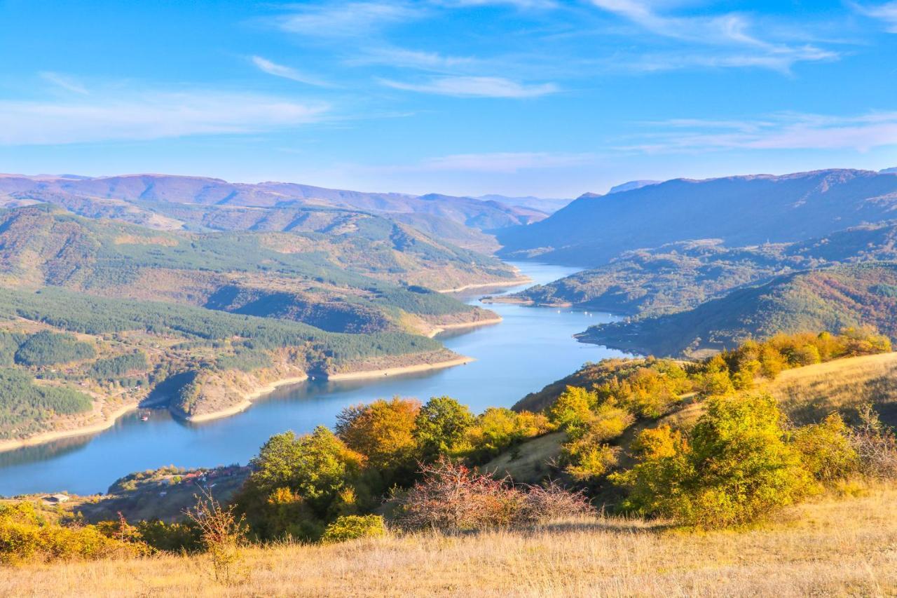 Vila Nemir Zavojsko Jezero 皮罗特 外观 照片