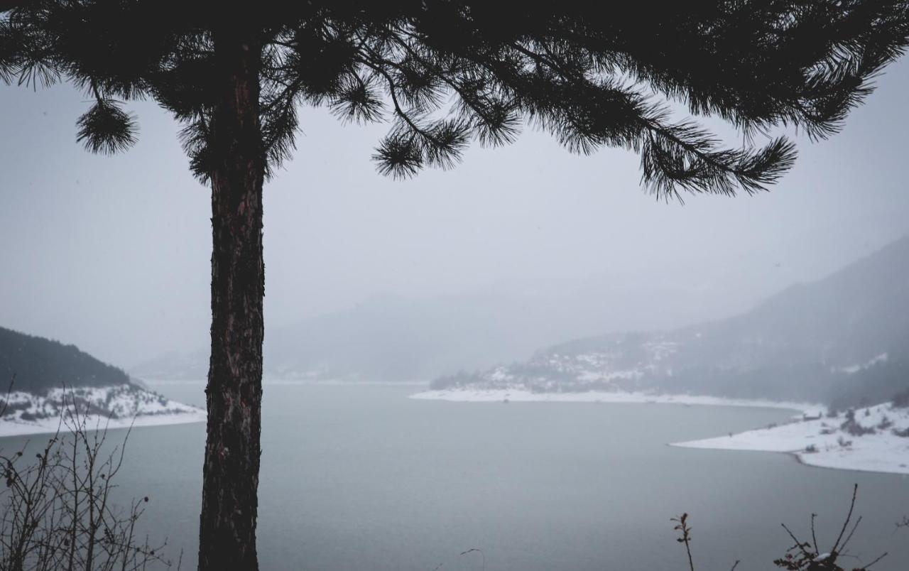 Vila Nemir Zavojsko Jezero 皮罗特 外观 照片
